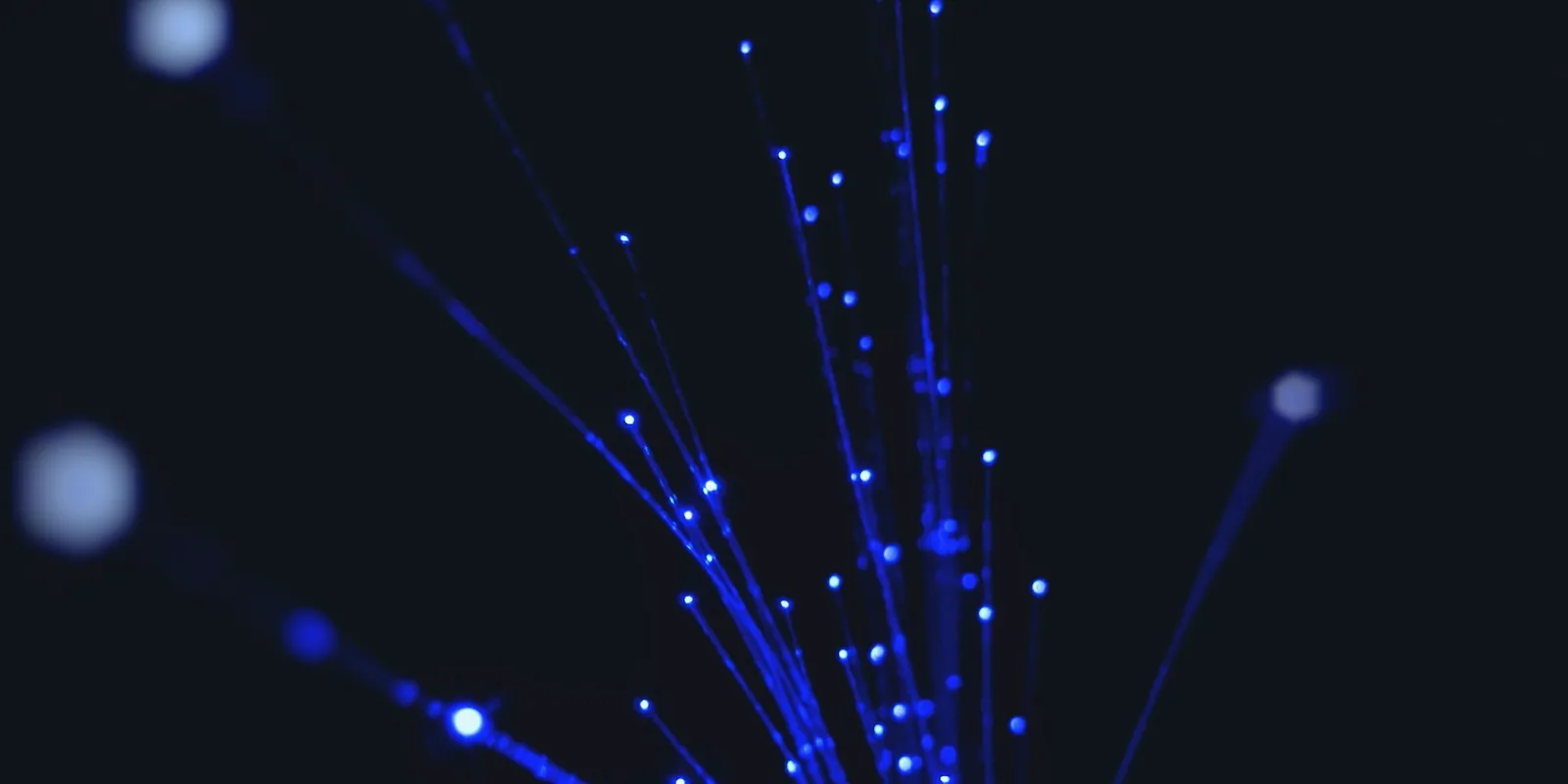Un faisceau de fibres optiques lumineuses sur fond noir