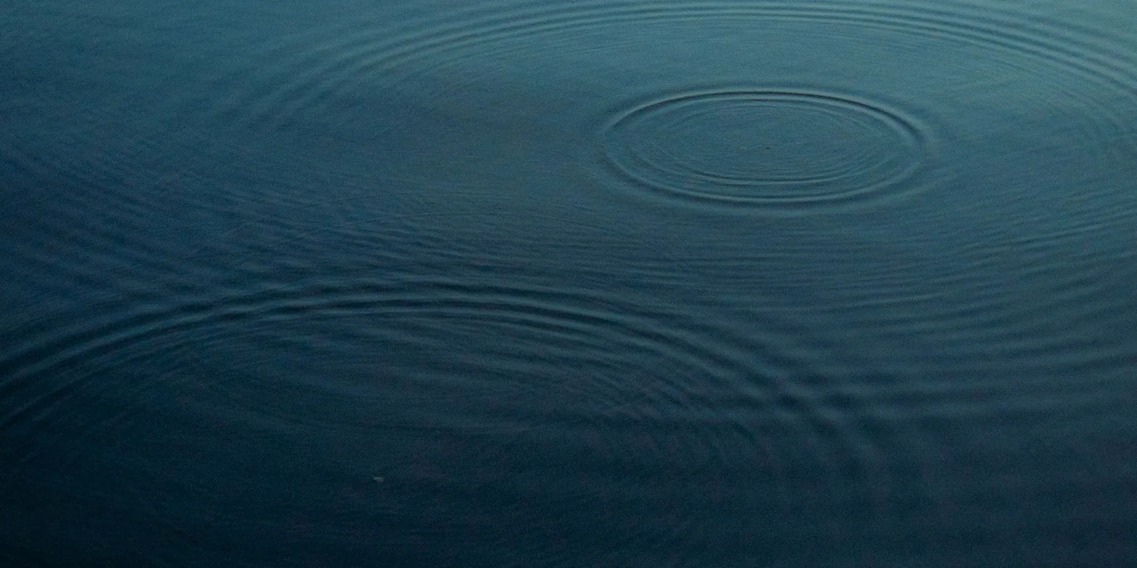 Des ondes concentriques à la surface d'une eau sombre et calme