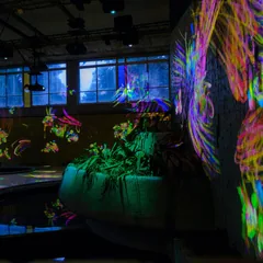 Une salle multisensorielle plongée dans la pénombre, avec des points lumineux au plafond